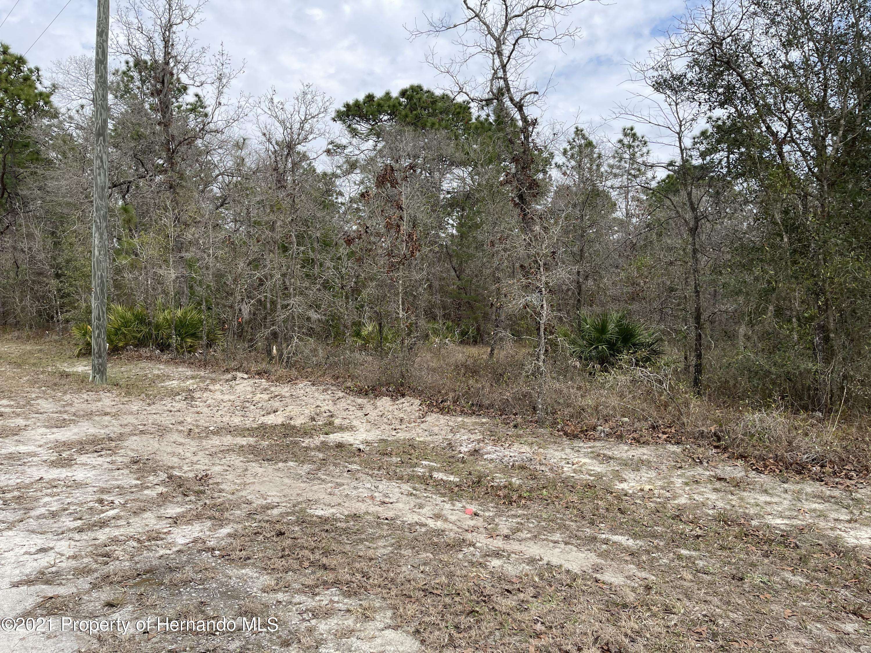 Weeki Wachee, FL 34614,0 Mairdale Road