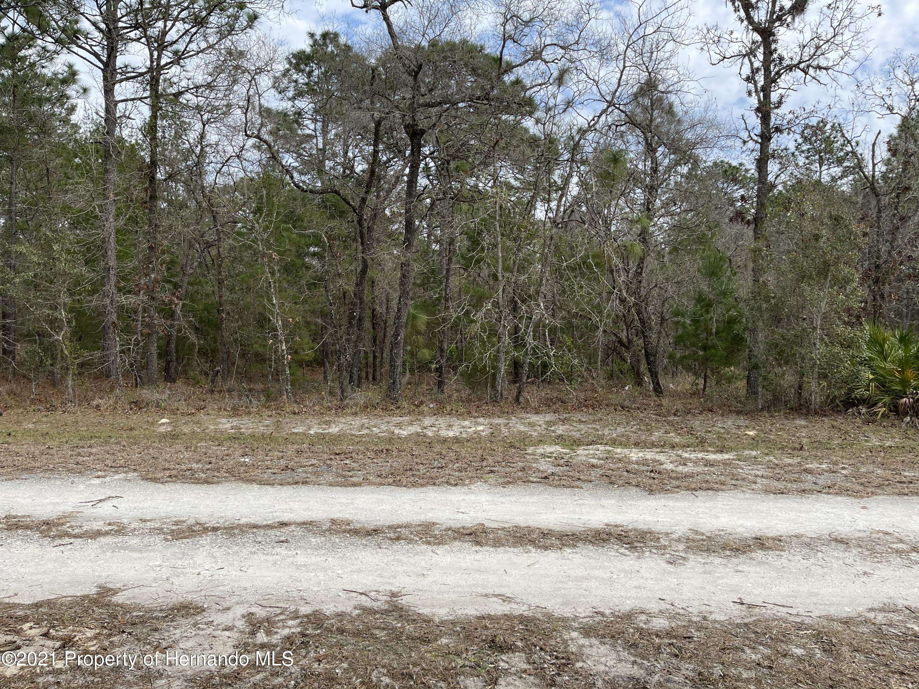 Weeki Wachee, FL 34614,0 Mairdale Road