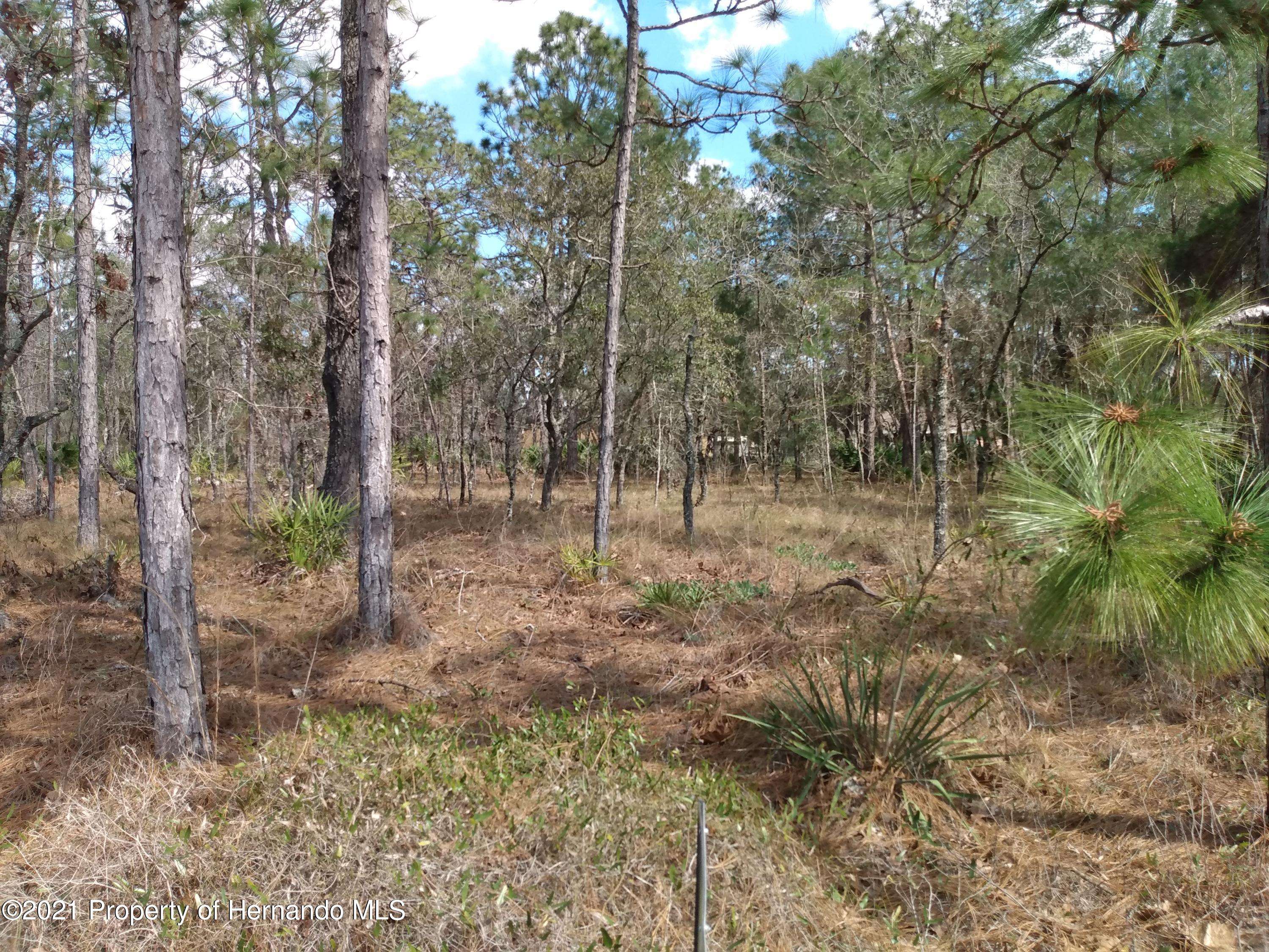 Weeki Wachee, FL 34614,00 MALIBAR Road