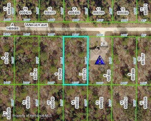 Weeki Wachee, FL 34614,0 TANAGER Avenue