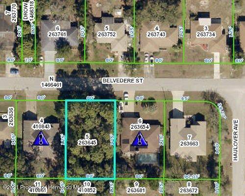 Spring Hill, FL 34608,00 Belvedere Street