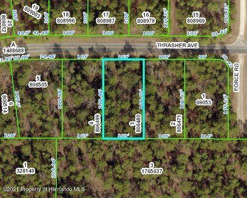 Weeki Wachee, FL 34614,0 Thrasher Avenue