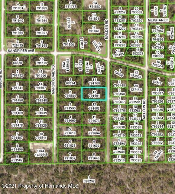 Weeki Wachee, FL 34614,Lot 13 Malden Avenue