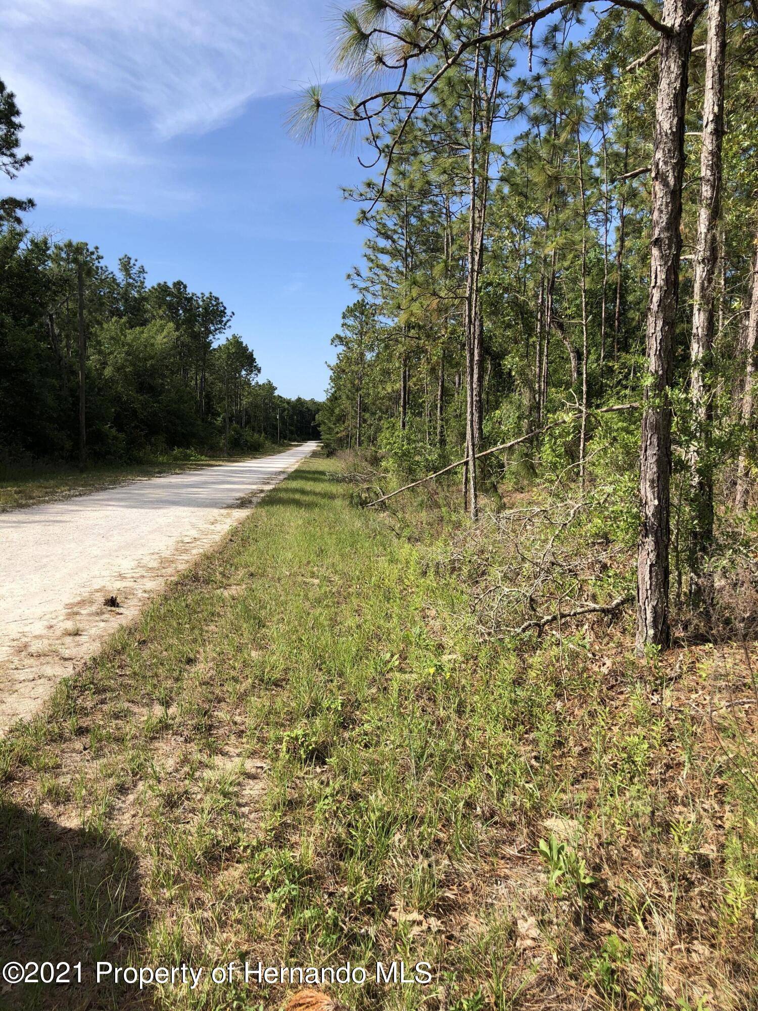 Weeki Wachee, FL 34614,15127 Canvasback Road