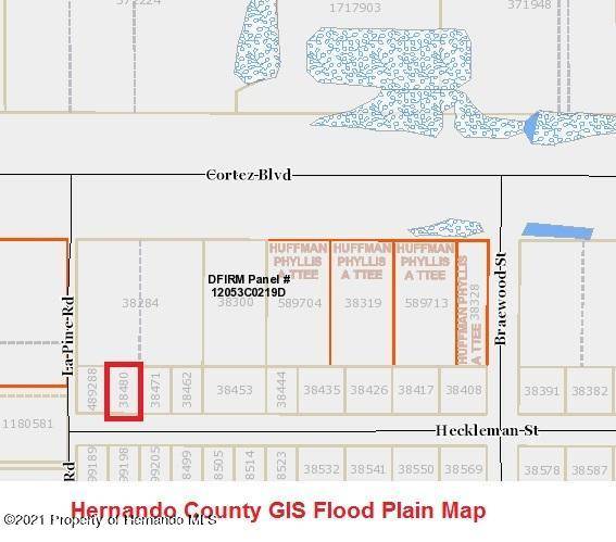 Brooksville, FL 34602,29137 Heckleman Street