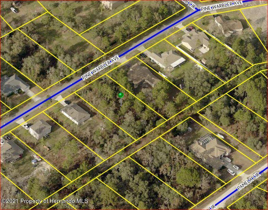 Weeki Wachee, FL 34613,9 Pine Warbler Ave