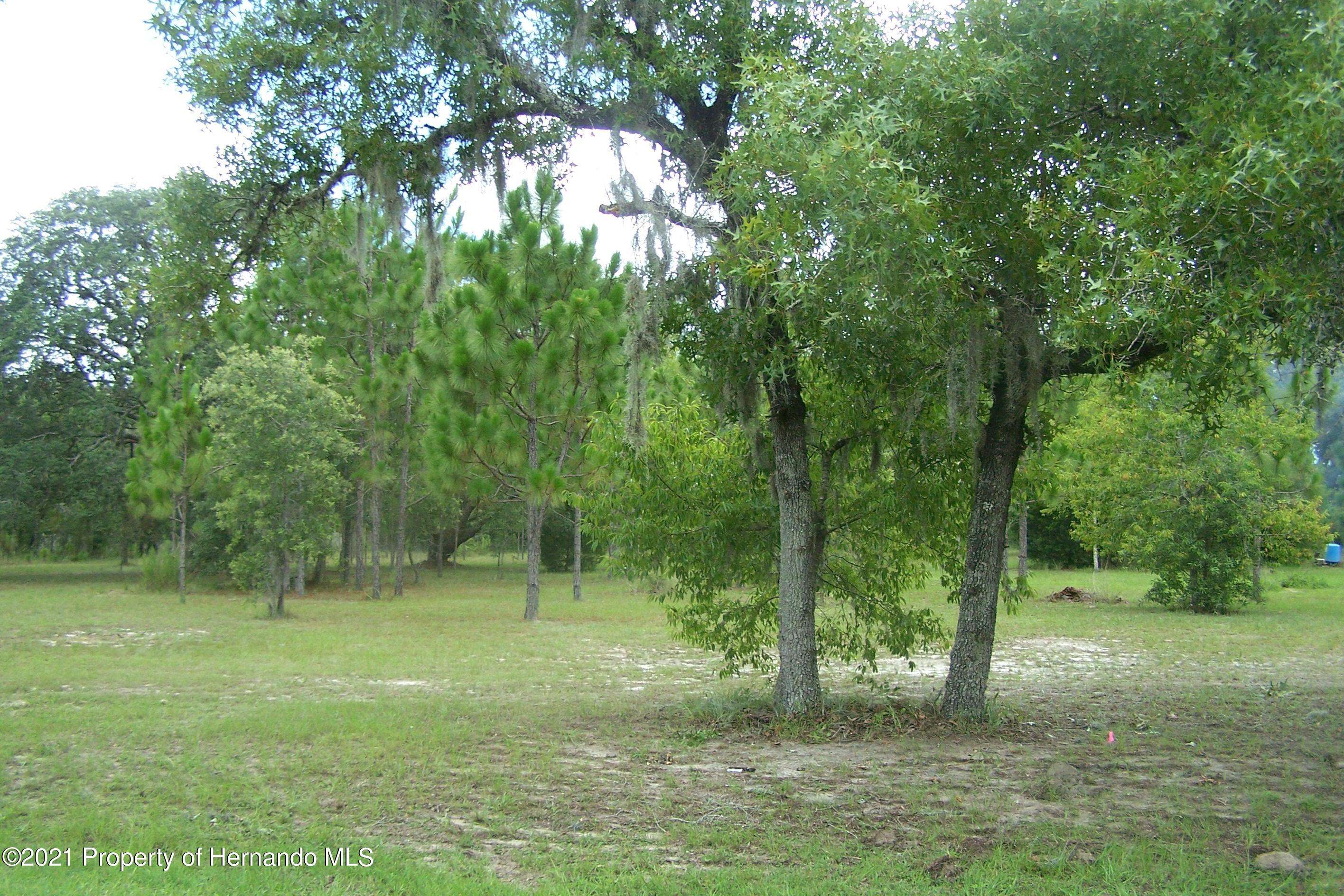 Brooksville, FL 34604,00 jacaranda Circle