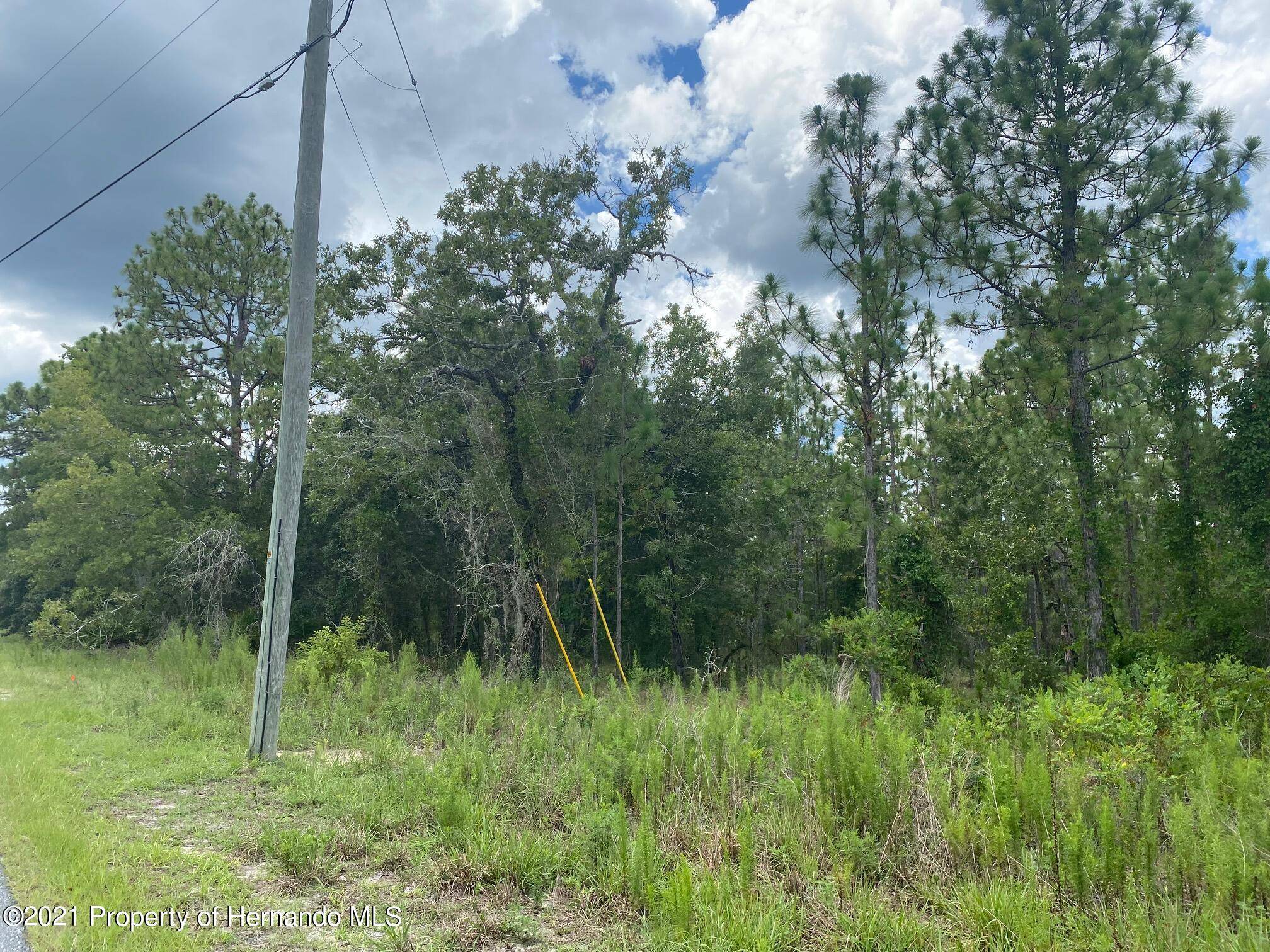 Weeki Wachee, FL 34614,Lot 10 Papercraft Avenue