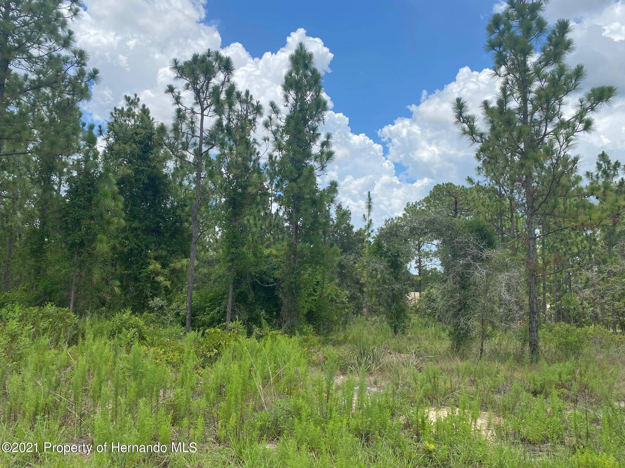 Weeki Wachee, FL 34614,Lot 11 Papercraft Avenue