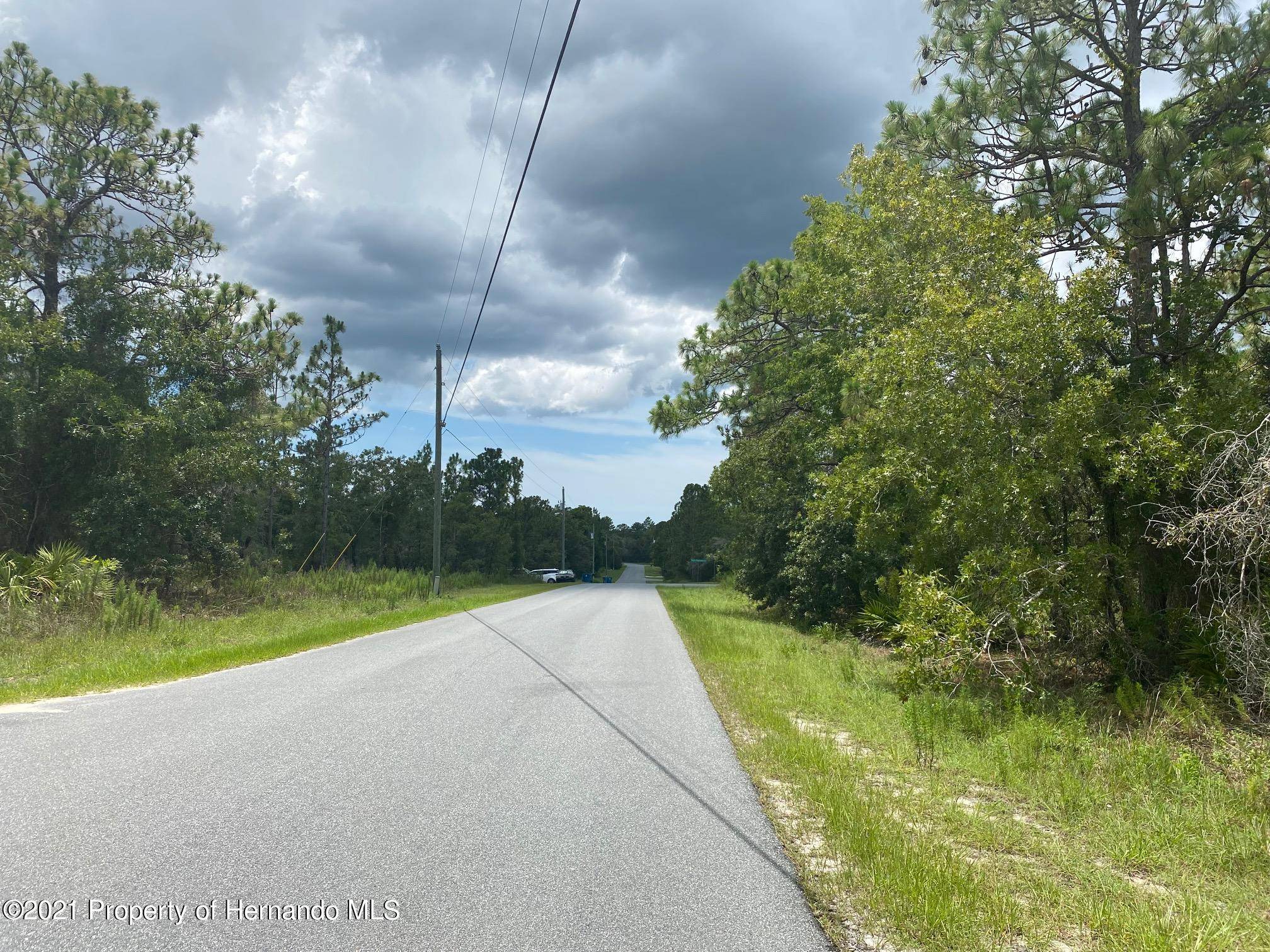 Weeki Wachee, FL 34614,Lot 11 Papercraft Avenue