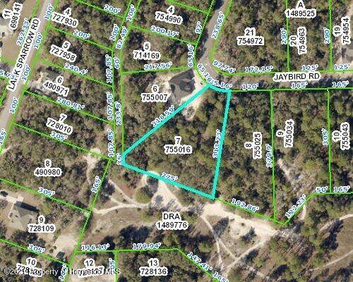 Weeki Wachee, FL 34614,12233 Jaybird Road