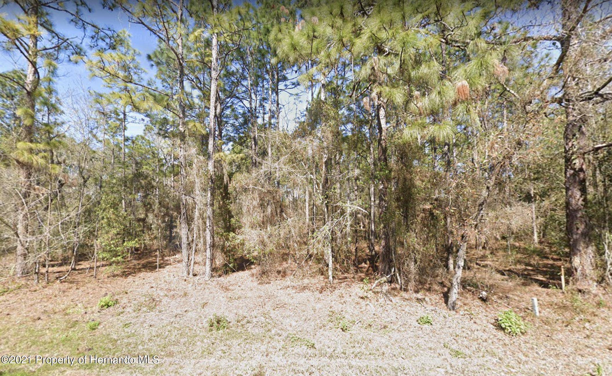 Brooksville, FL 34604,0 OAKCREST Circle