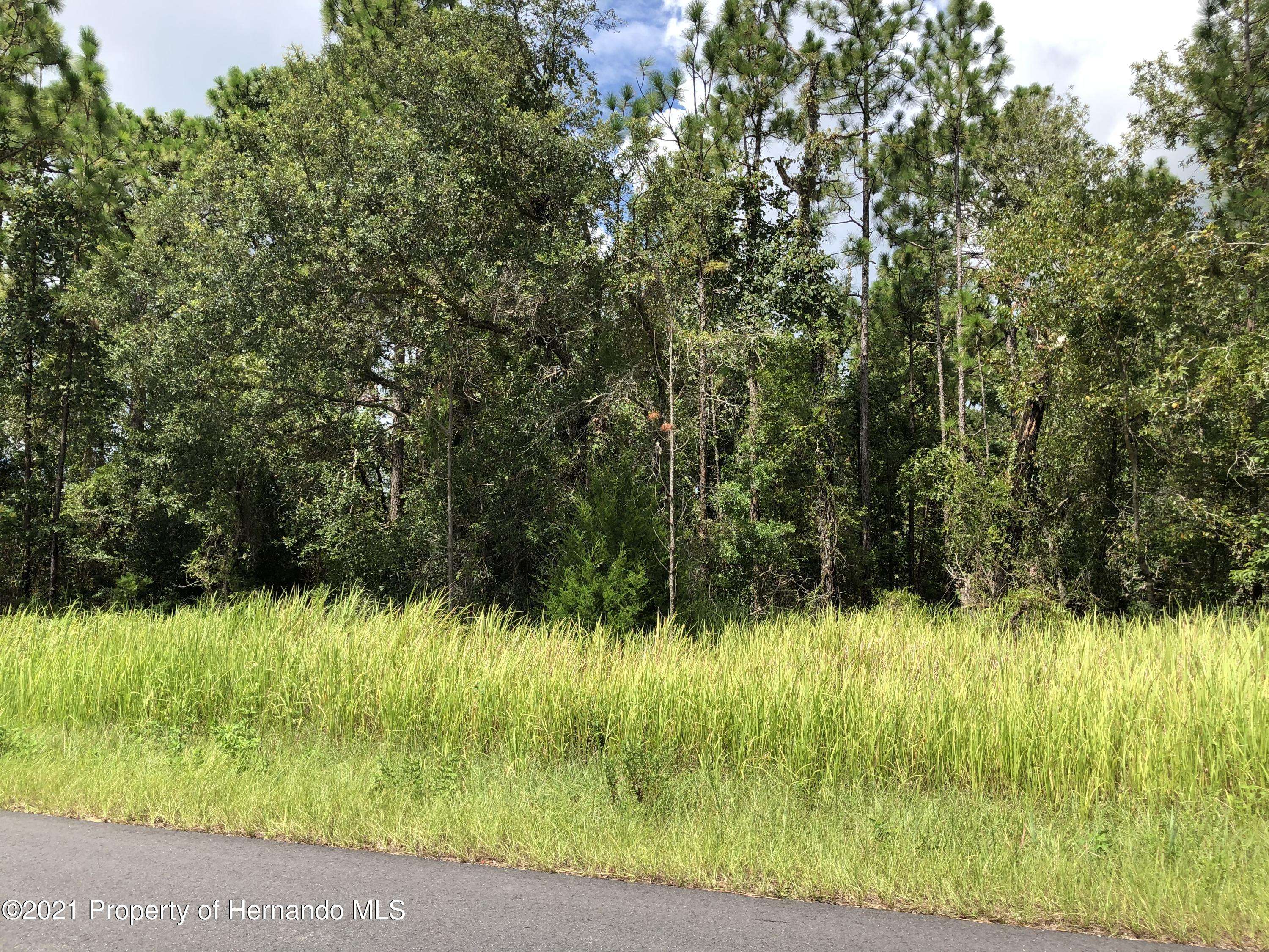 Weeki Wachee, FL 34614,0 Dusky Warbler Road