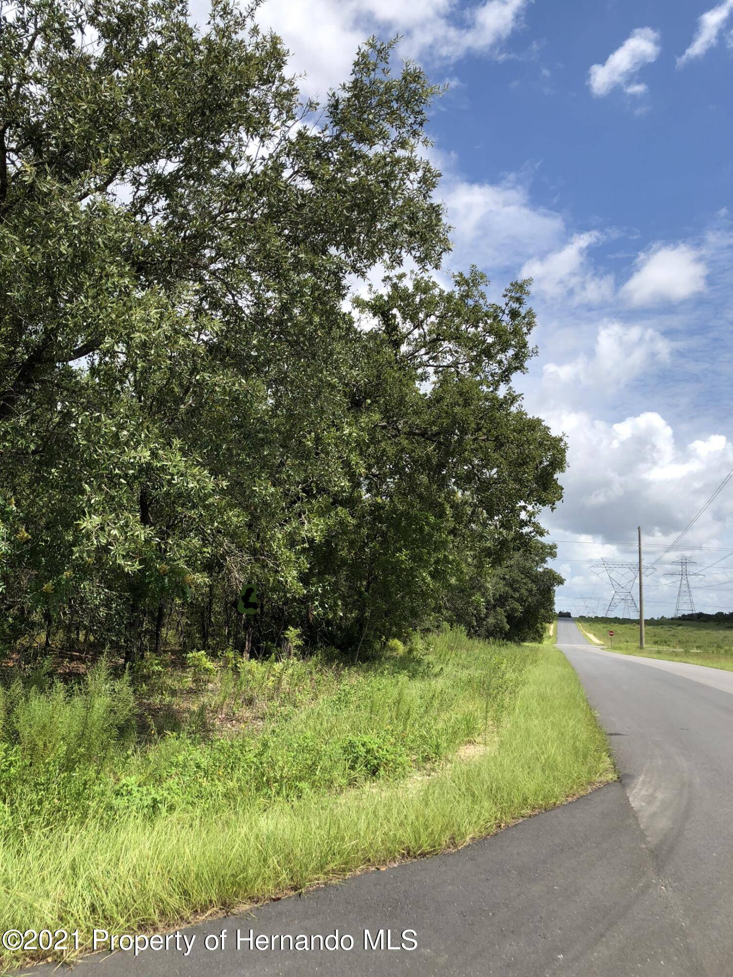 Weeki Wachee, FL 34614,00 Dusky Warbler Road