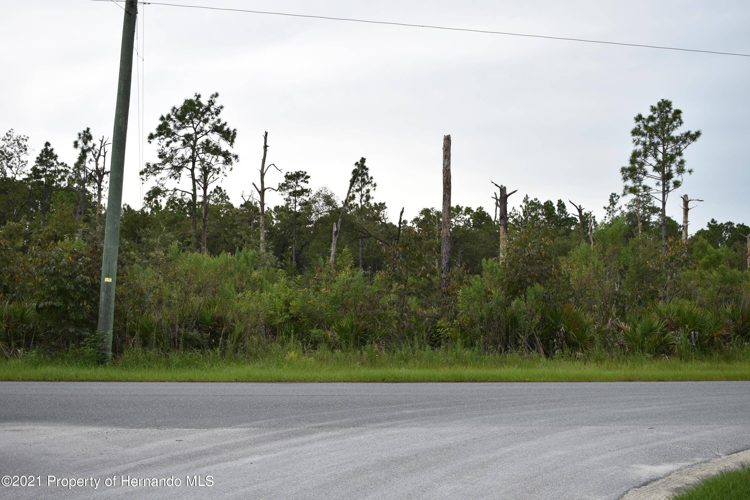 Brooksville, FL 34614,11120 Yellow Hammer Avenue