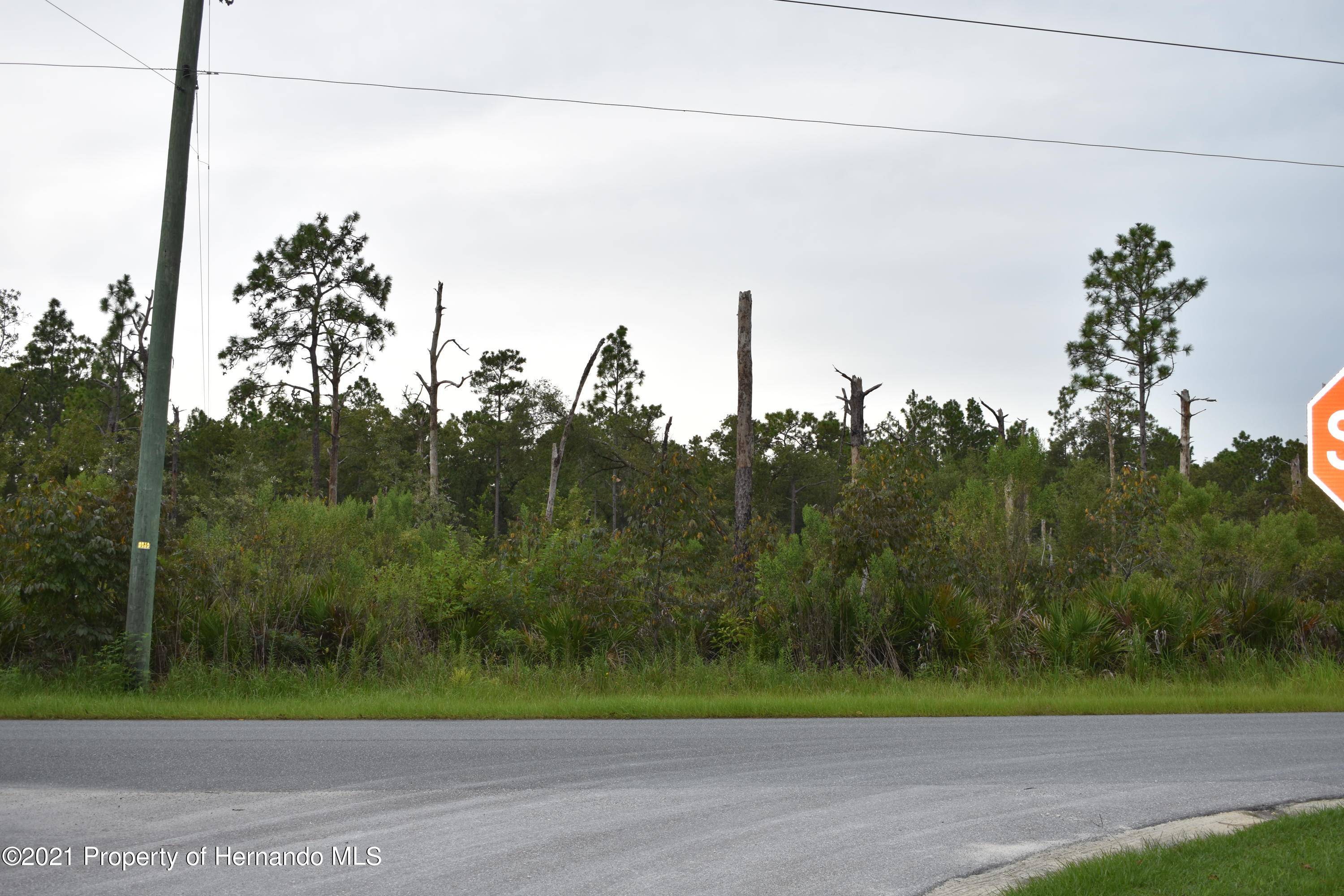 Brooksville, FL 34614,11120 Yellow Hammer Avenue