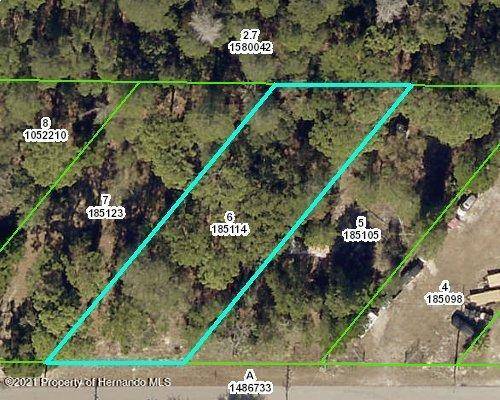 Spring Hill, FL 34607,00 Brandy