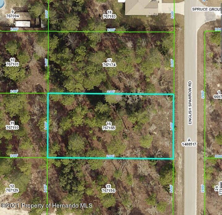 Weeki Wachee, FL 34614,0 English Sparrow Road