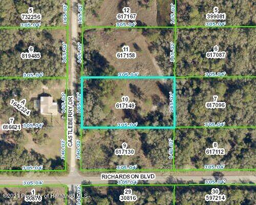 Webster, FL 33597,0 Castleberry Drive