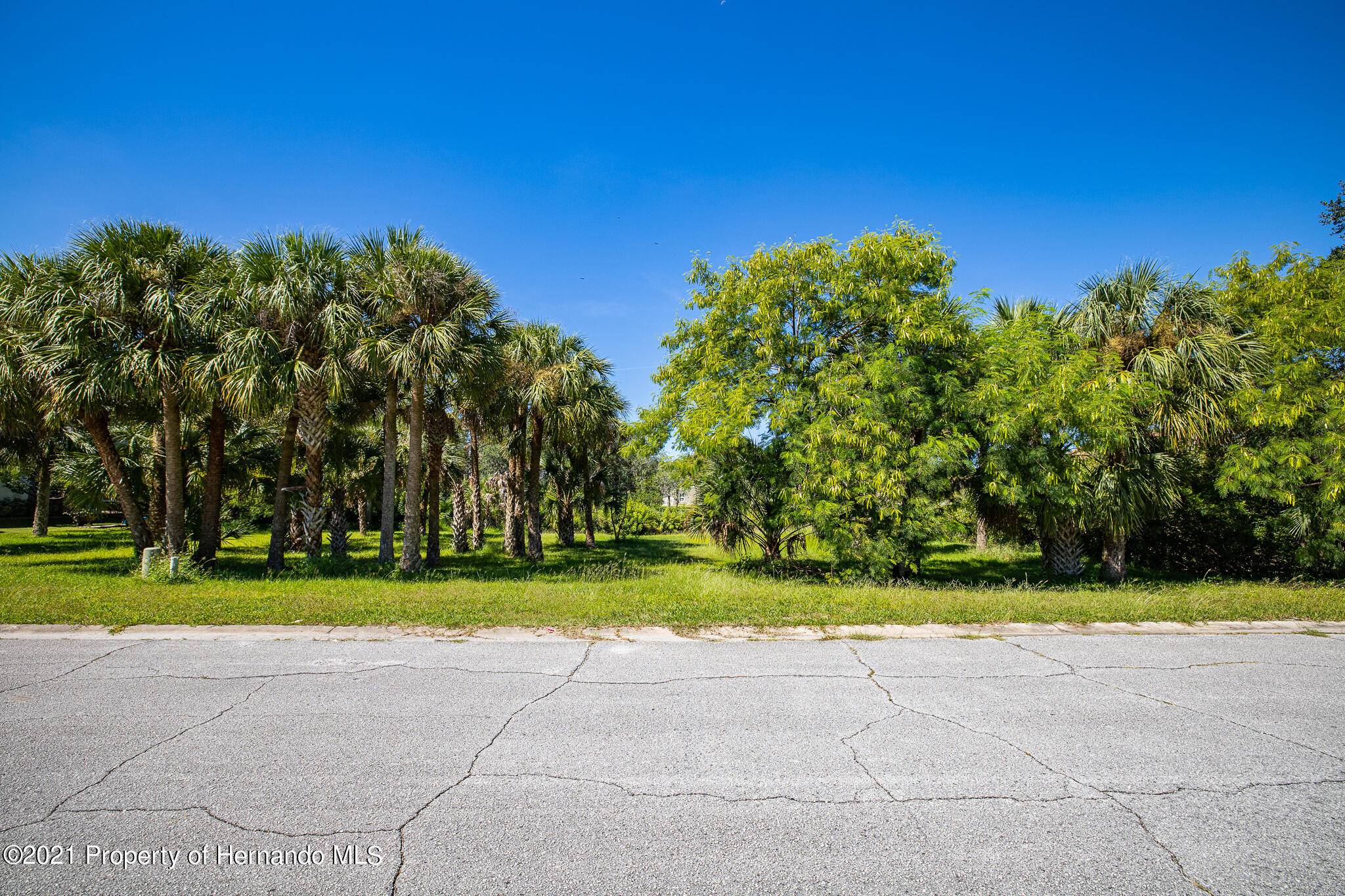 New Port Richey, FL 34652,0 Brightwaters Ct Lot 22