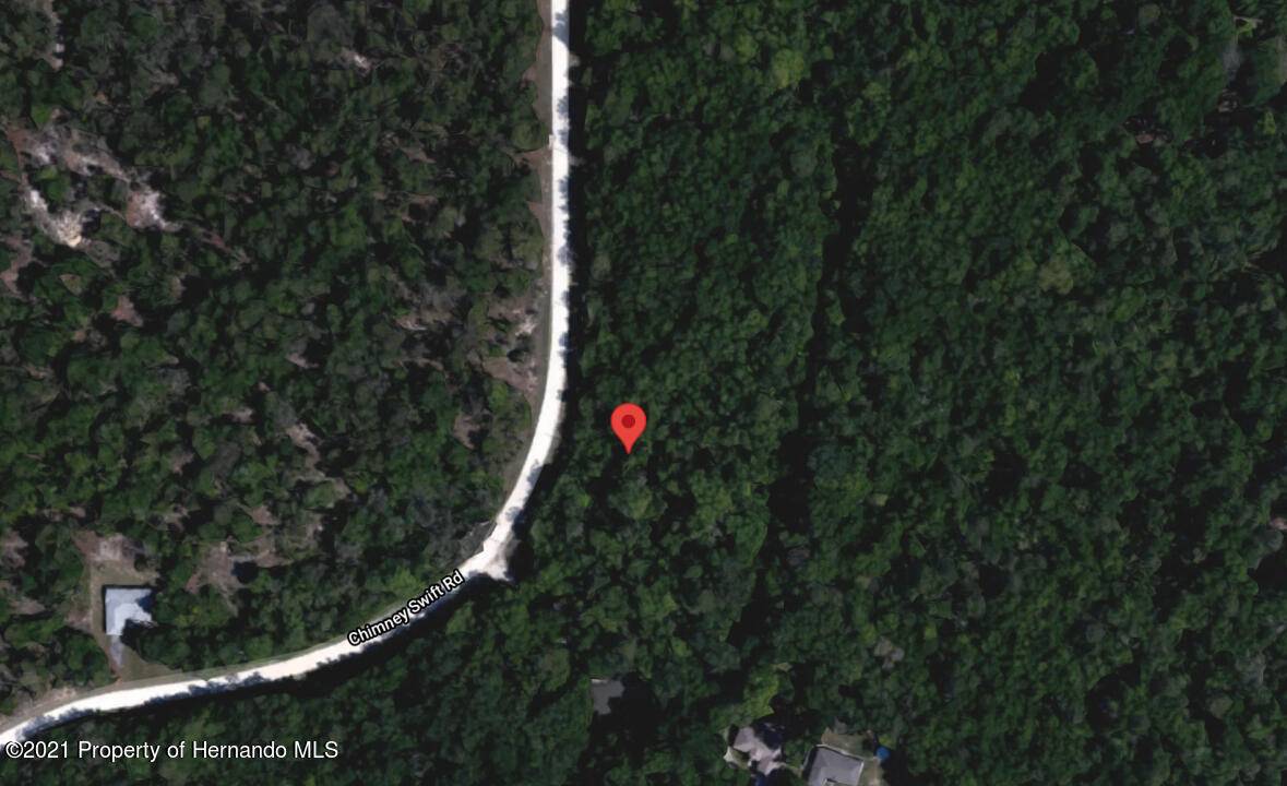 Weeki Wachee, FL 34614,14448 Chimney Swift Road