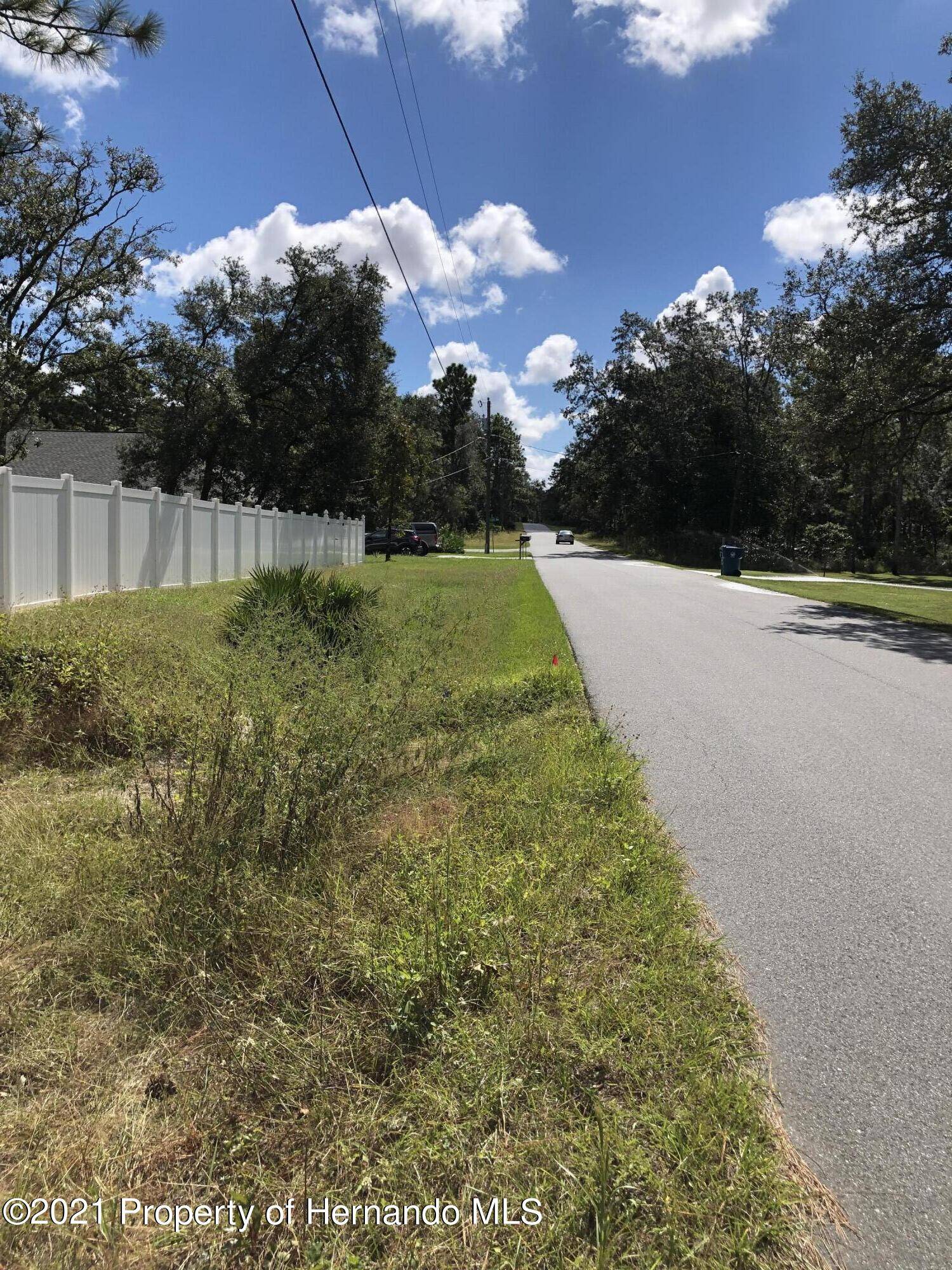 Weeki Wachee, FL 34614,0000 JAYBIRD Road