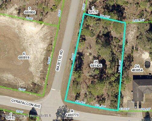 Spring Hill, FL 34613,00 Gyrafalcon