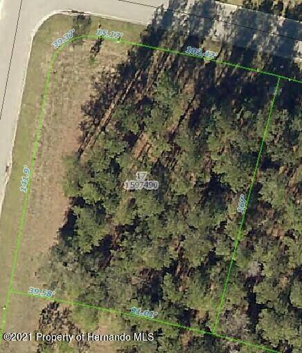 Brooksville, FL 34601,19845 English Walnut Place