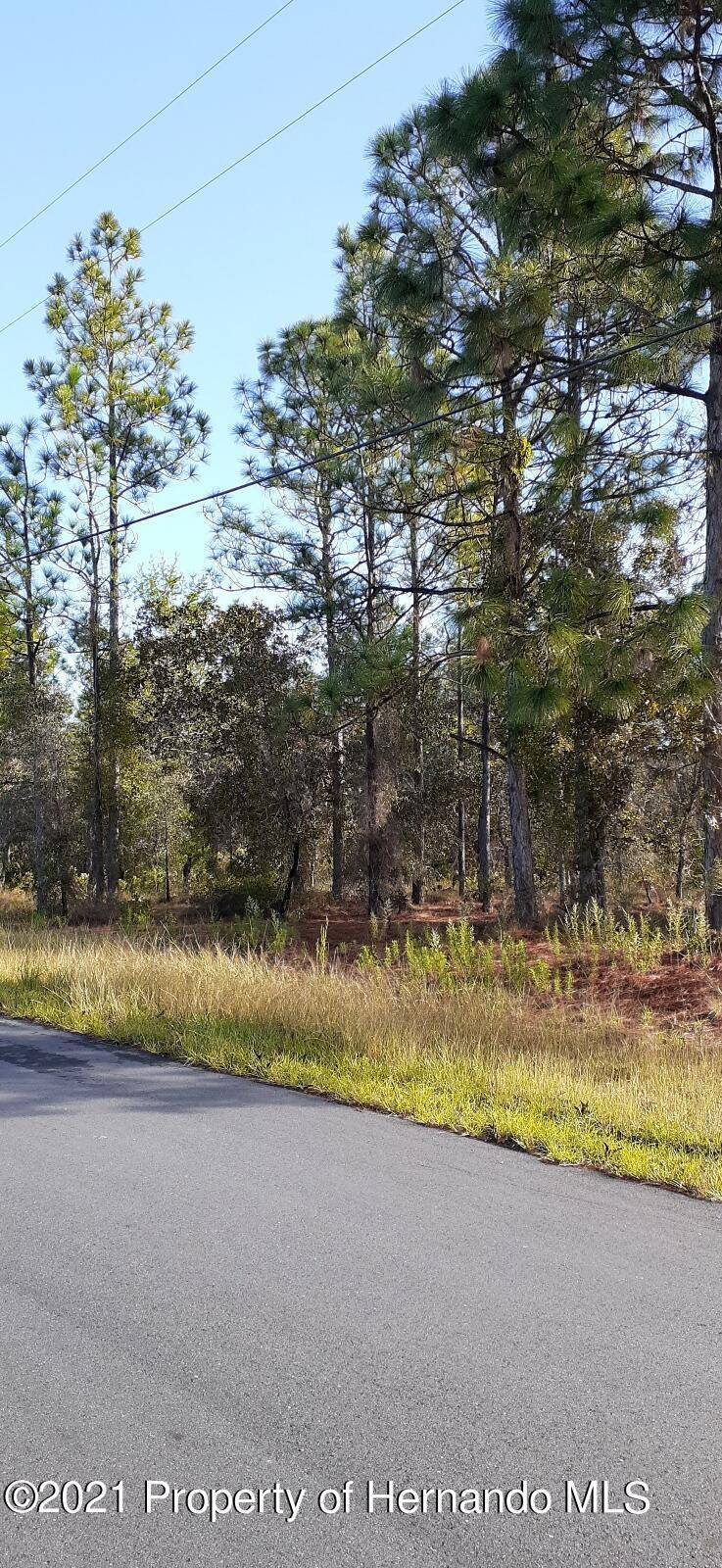 Weeki Wachee, FL 34614,0 Snowy Plover Avenue