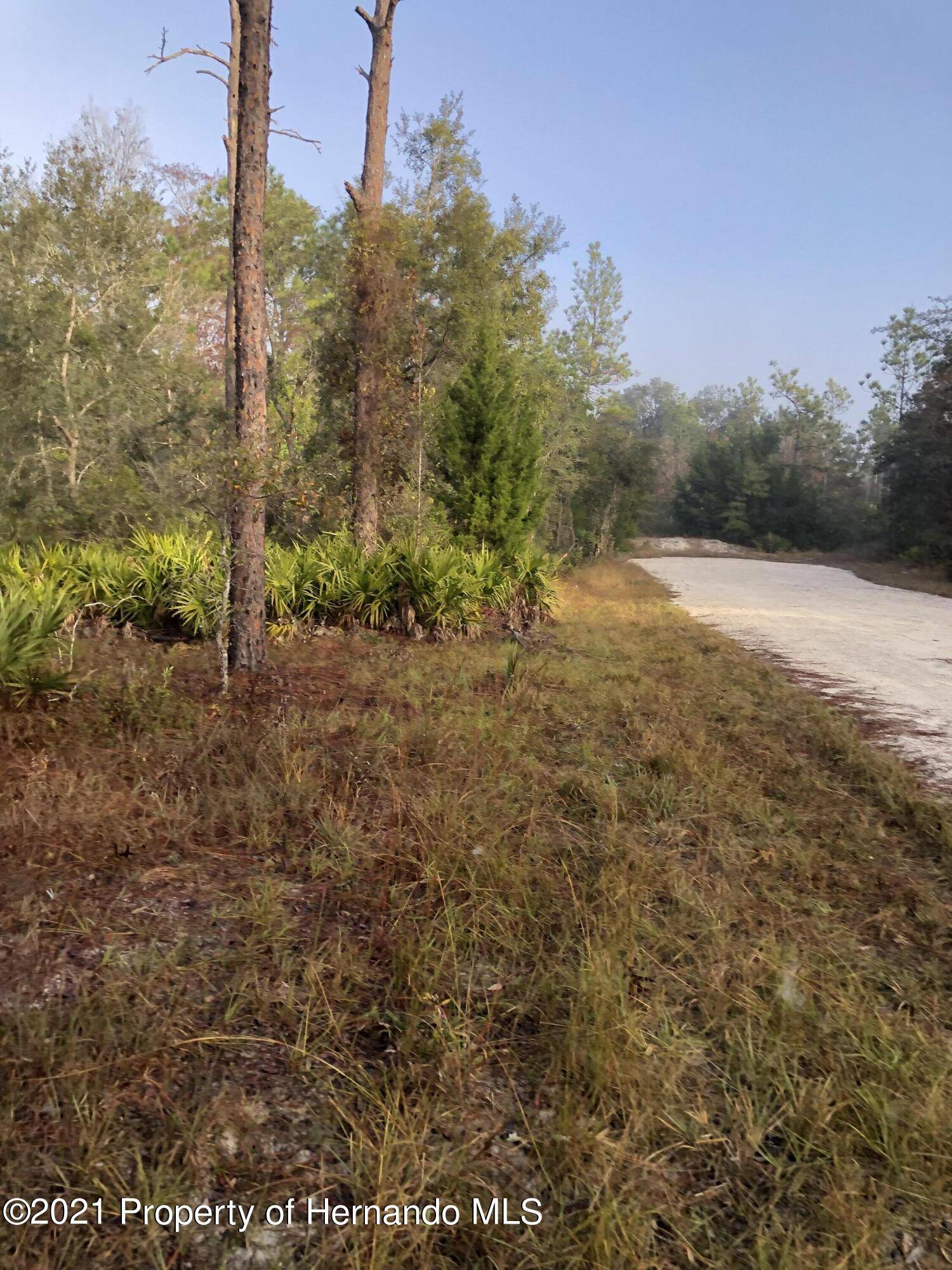 Weeki Wachee, FL 34614,00 RYDAL Road