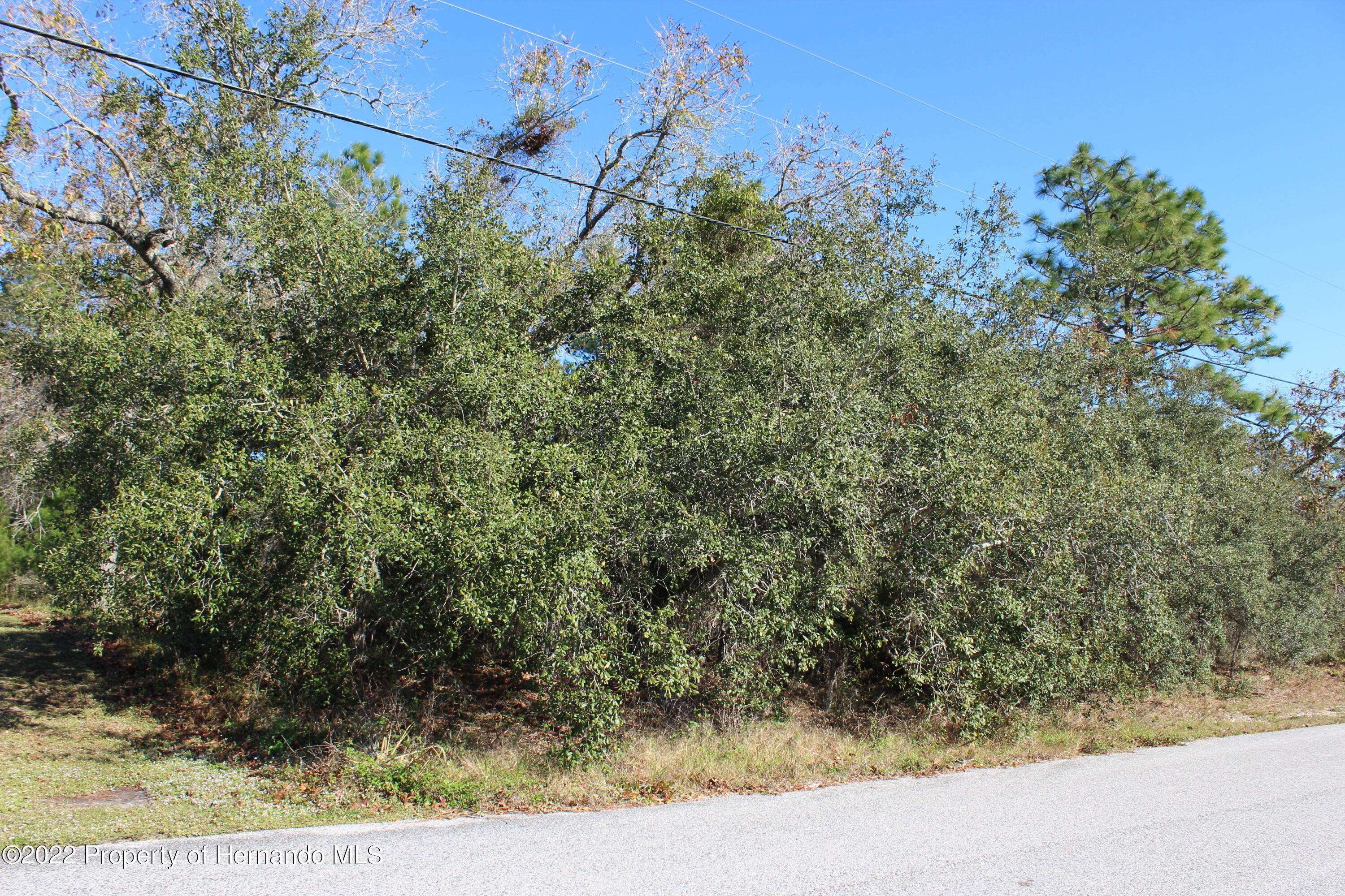 Weeki Wachee, FL 34613,10349 Desert Sparrow Avenue