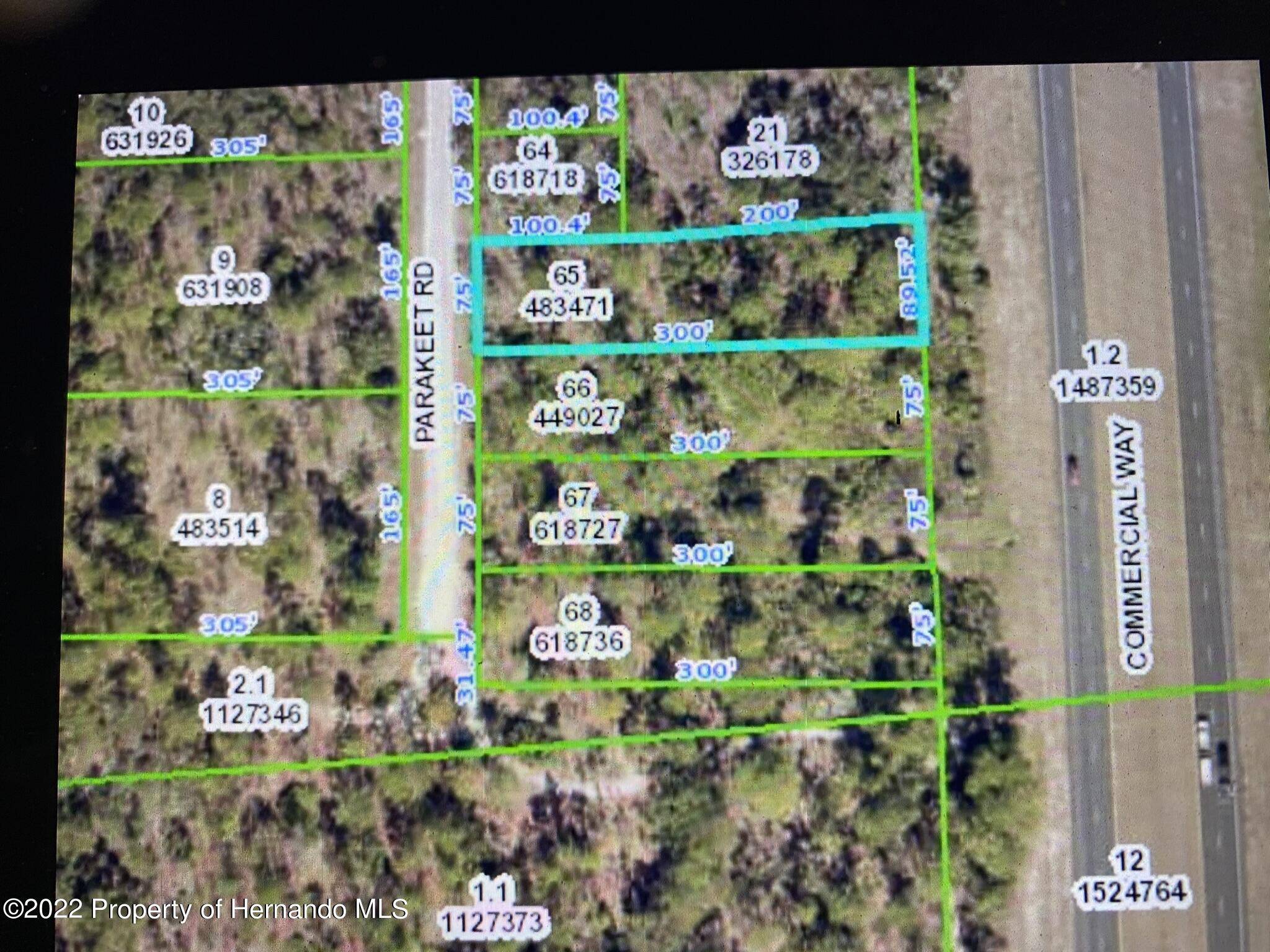 Weeki Wachee, FL 34614,0 Parakeet Road