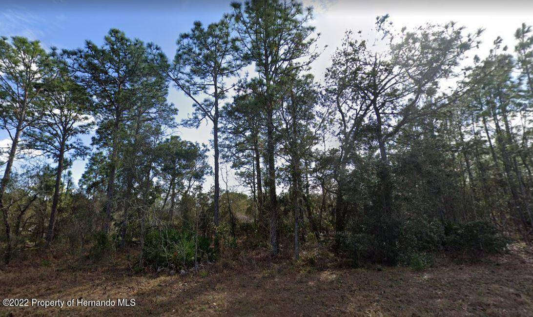 Weeki Wachee, FL 34614,0 Mackinaw Rd Lot 20