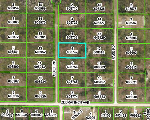 Weeki Wachee, FL 34614,000 Quiet Road