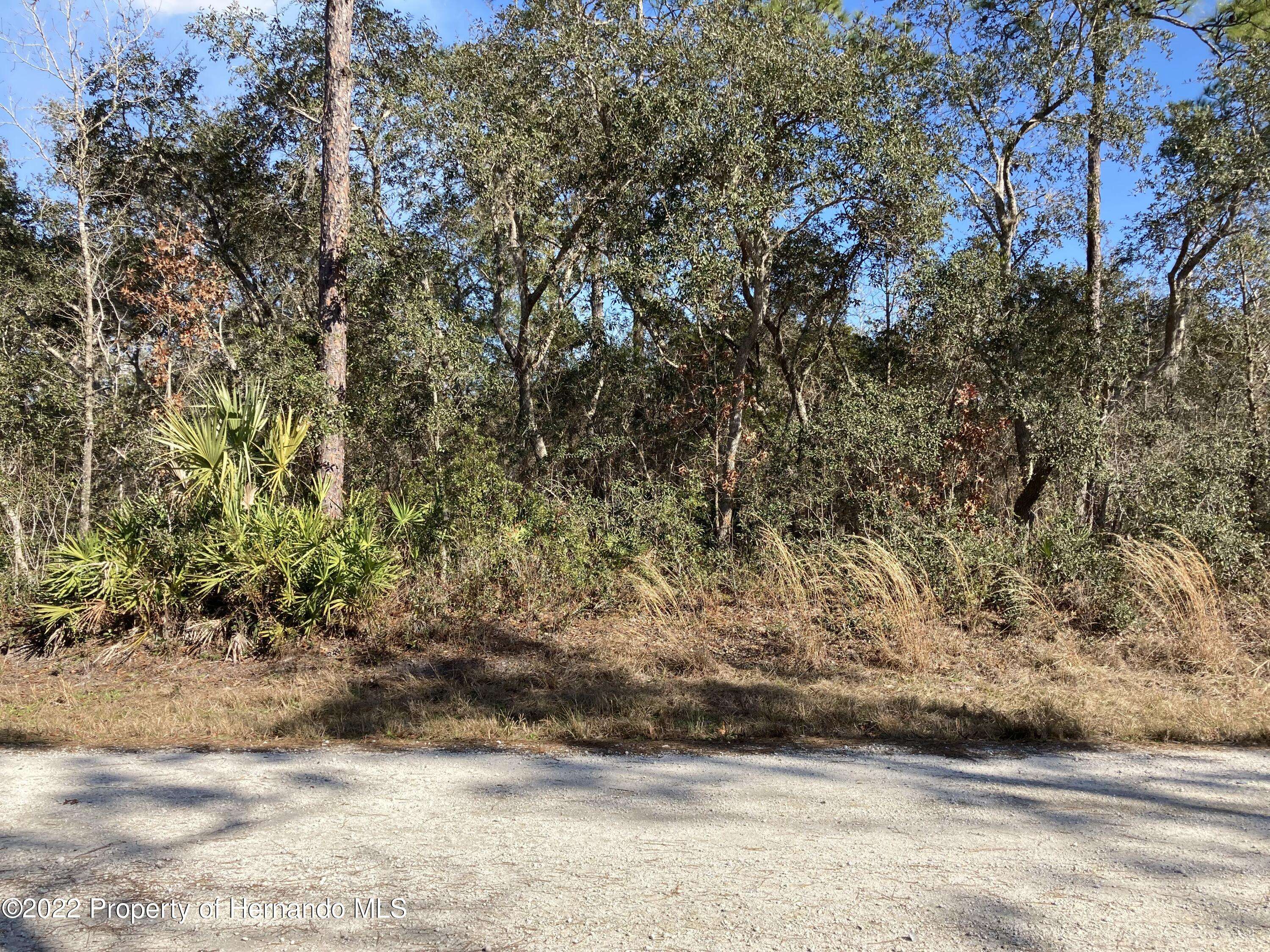 Weeki Wachee, FL 34614,000 Quiet Road