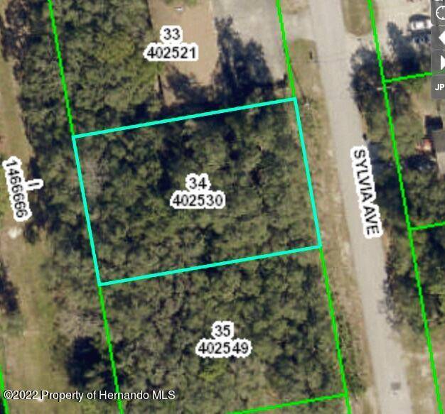 Spring Hill, FL 34606,0 Sylvia