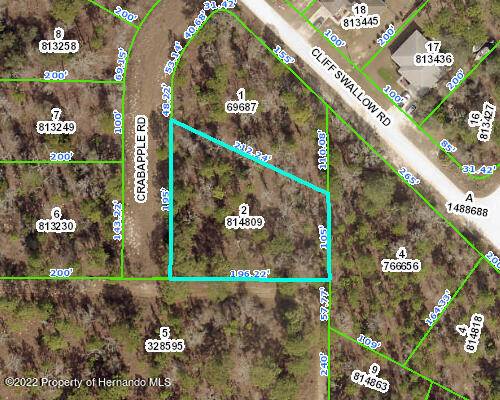 Weeki Wachee, FL 34614,0 Crabapple