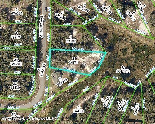 Webster, FL 33597,Lot 1 August Ave