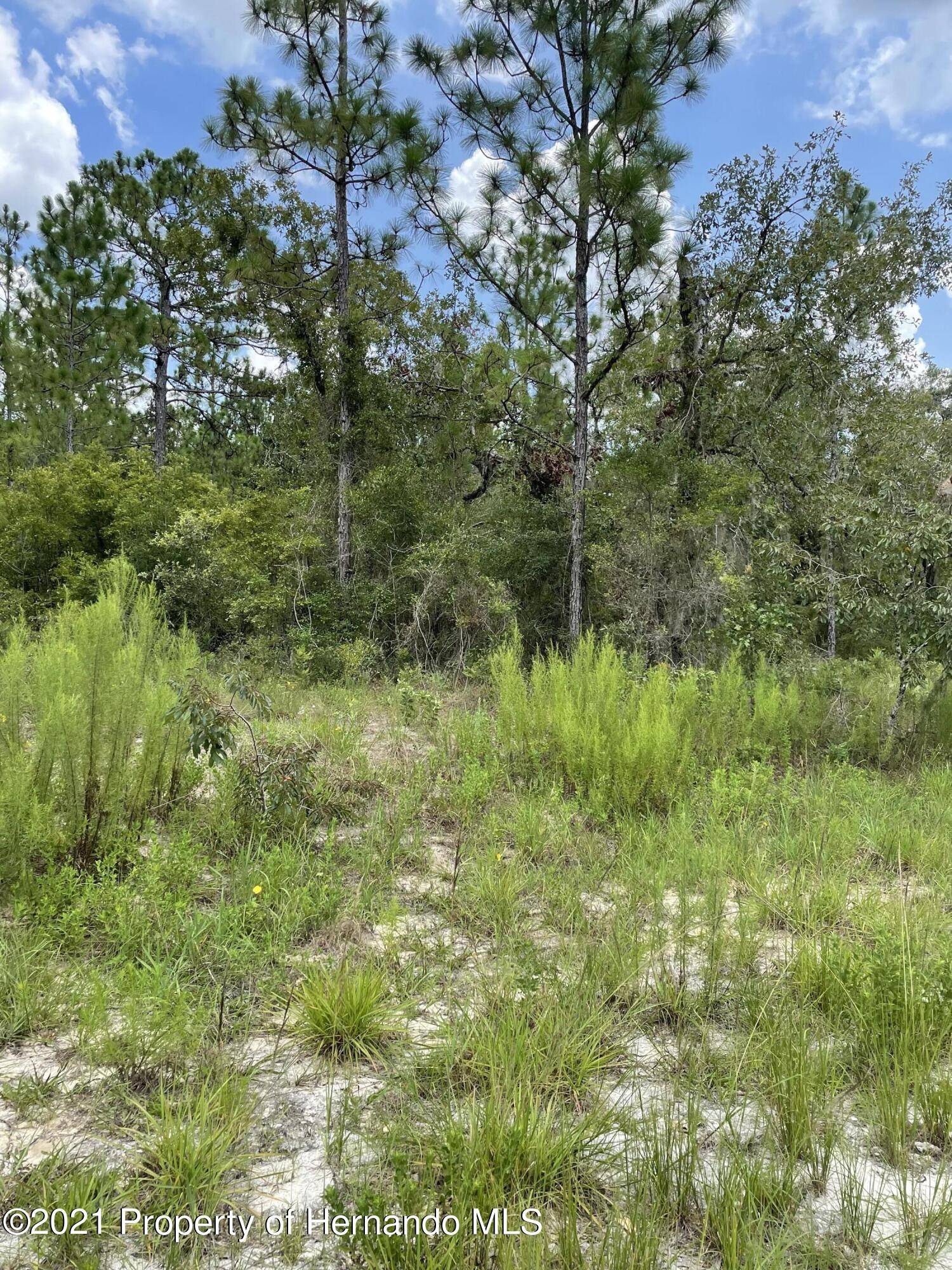 Weeki Wachee, FL 34614,0 Chicaric