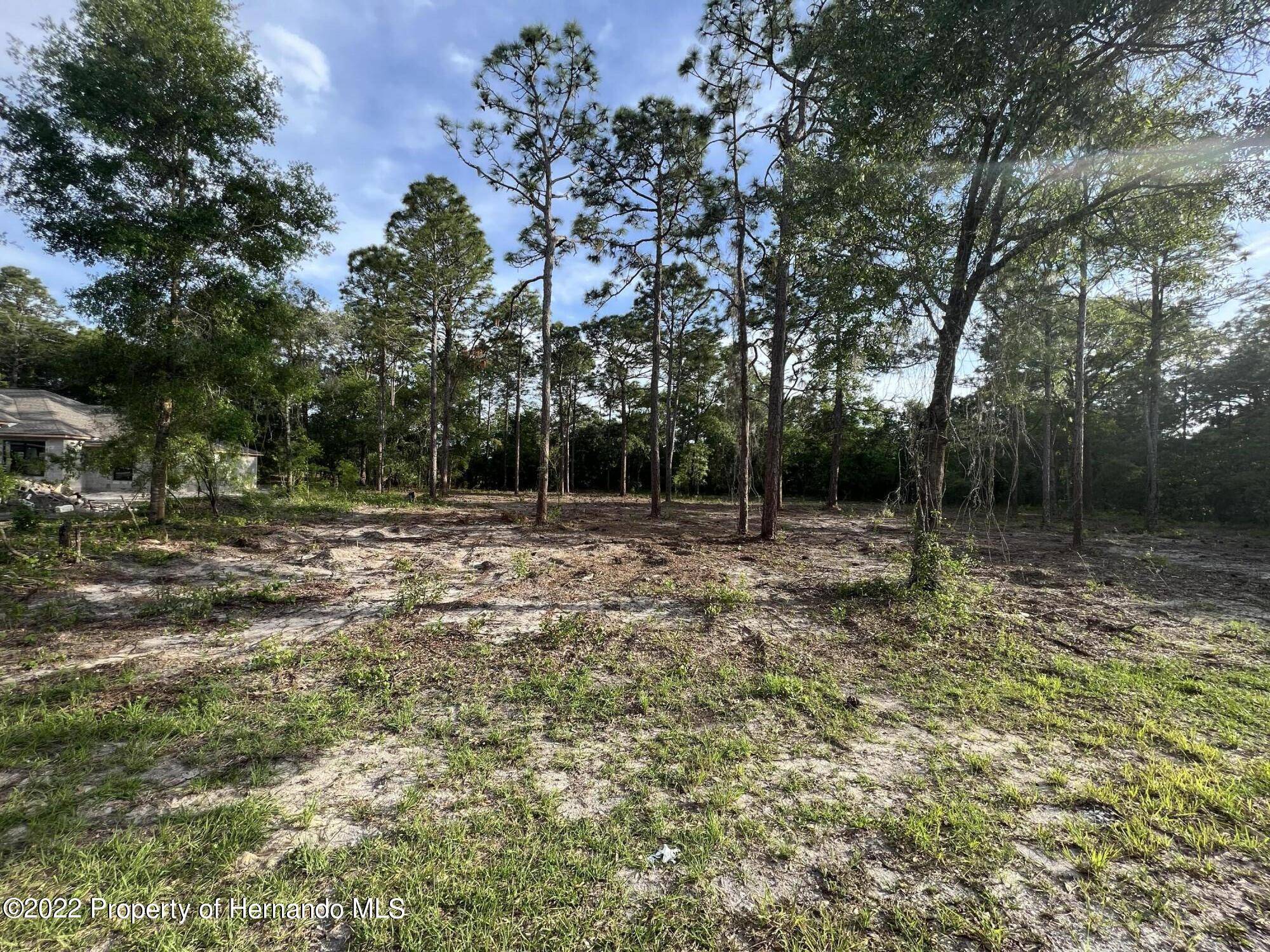 Spring Hill, FL 34609,4930 Jumper Loop