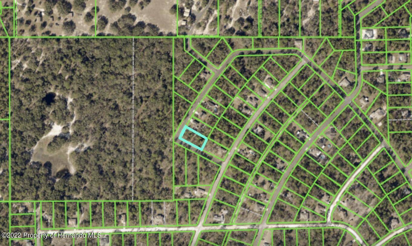 Brooksville, FL 34614,0 Ipswich Sparrow Road