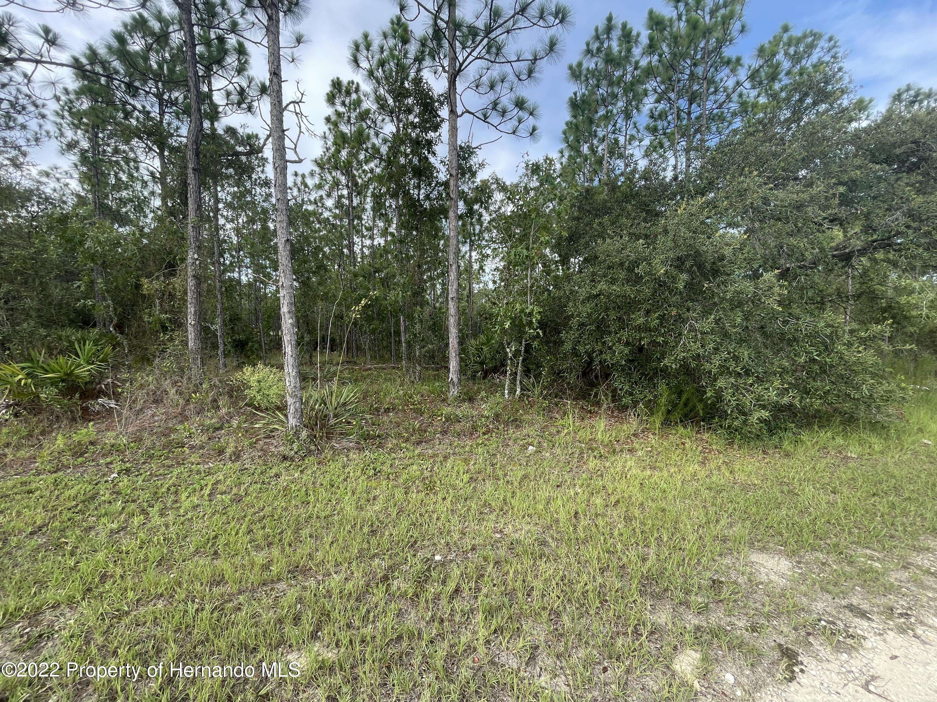 Weeki Wachee, FL 34613,0000000000 Chickadee Road