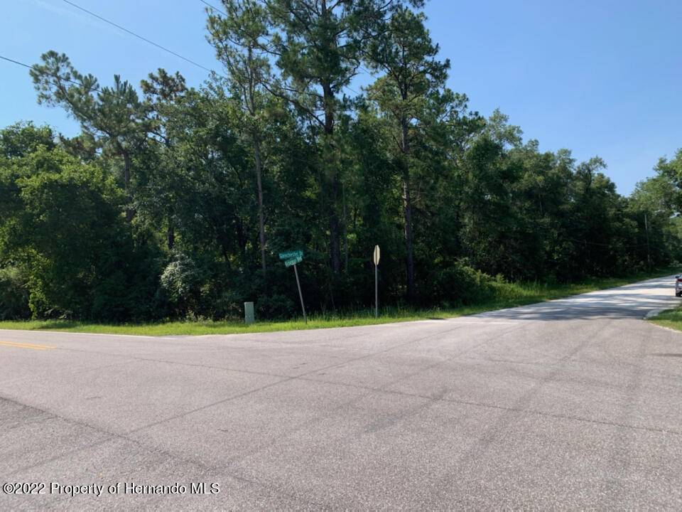 Webster, FL 33597,0 Glenchester Drive #Lot 16