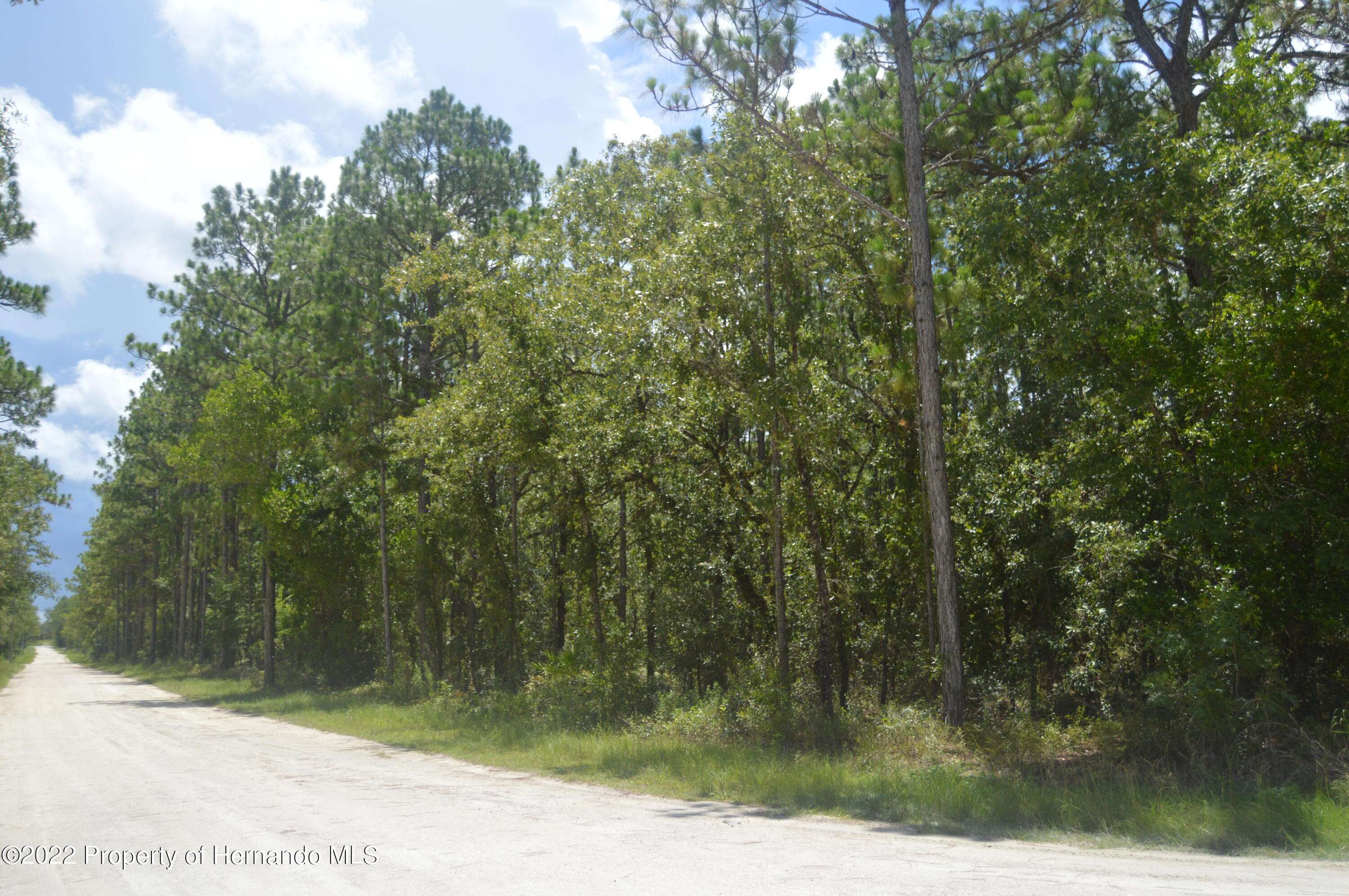 Weeki Wachee, FL 34614,Lot 1 Yellow Tail Avenue