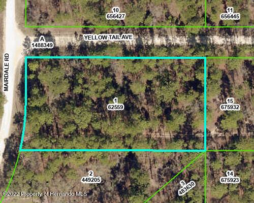 Weeki Wachee, FL 34614,Lot 1 Yellow Tail Avenue