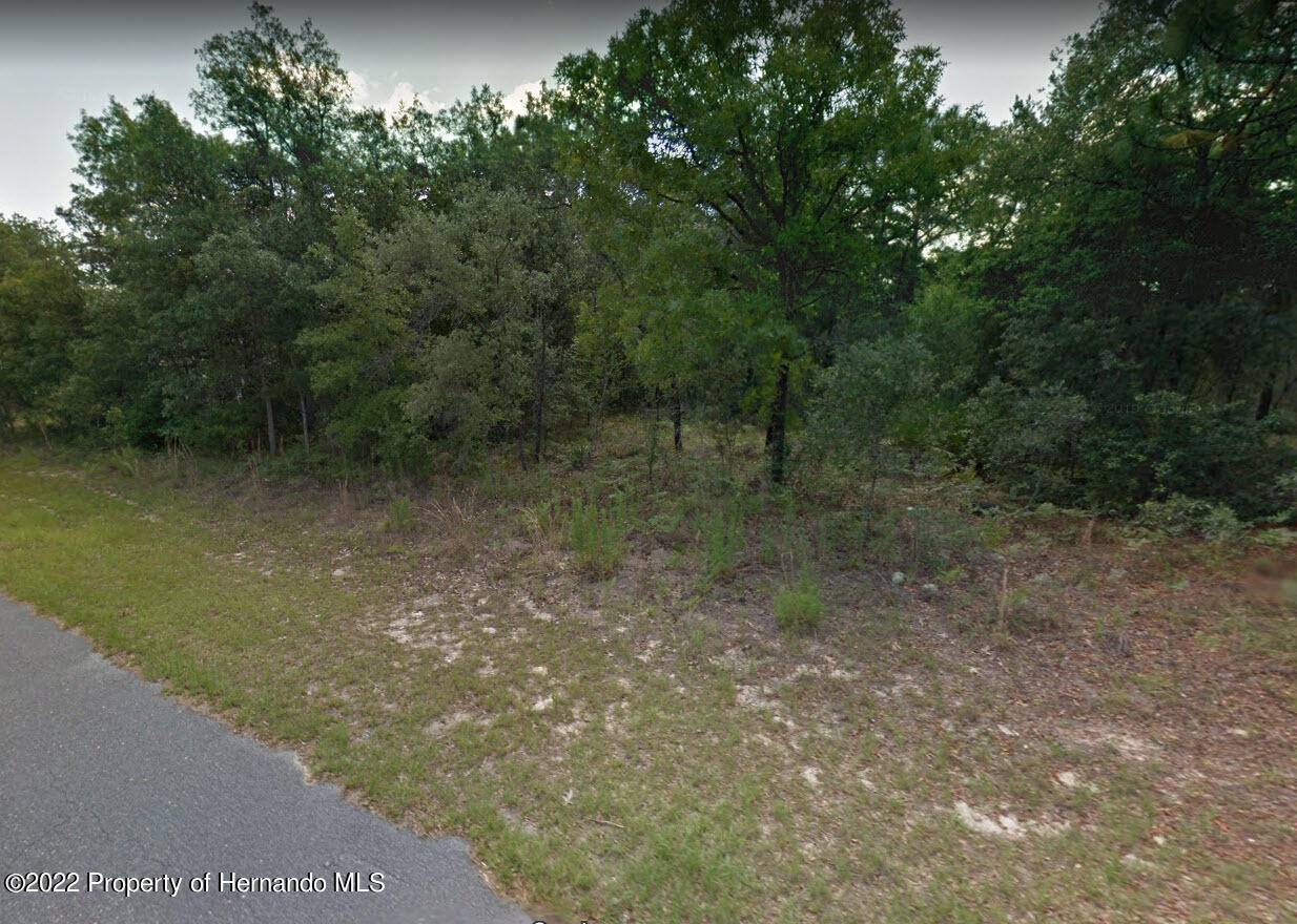 Citrus Springs, FL 34433,2974 W Akron Place