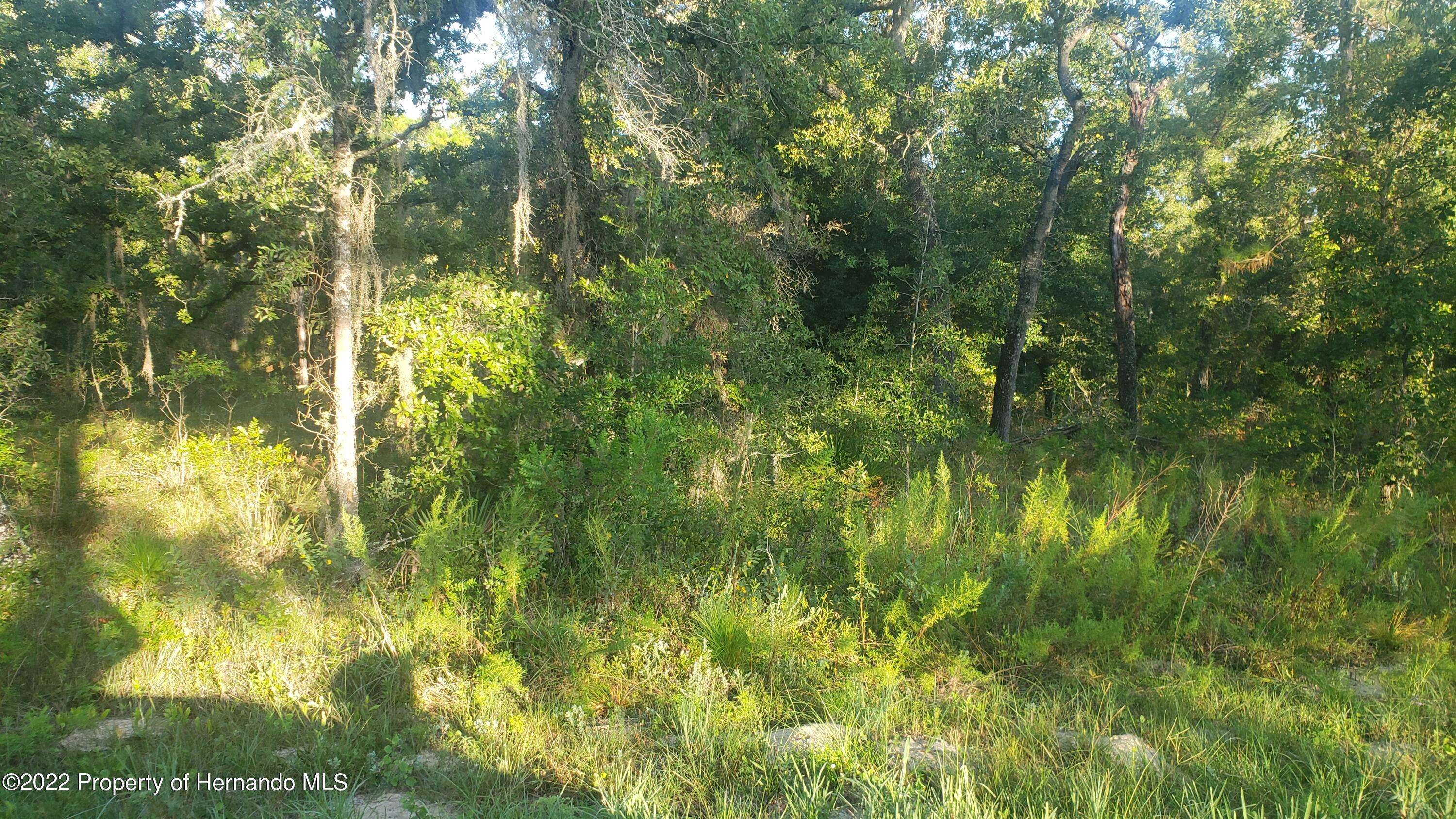 Weeki Wachee, FL 34614,0 Sheldrake Loop