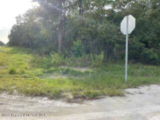 Weeki Wachee, FL 34614,00 Mount Sparrow Road