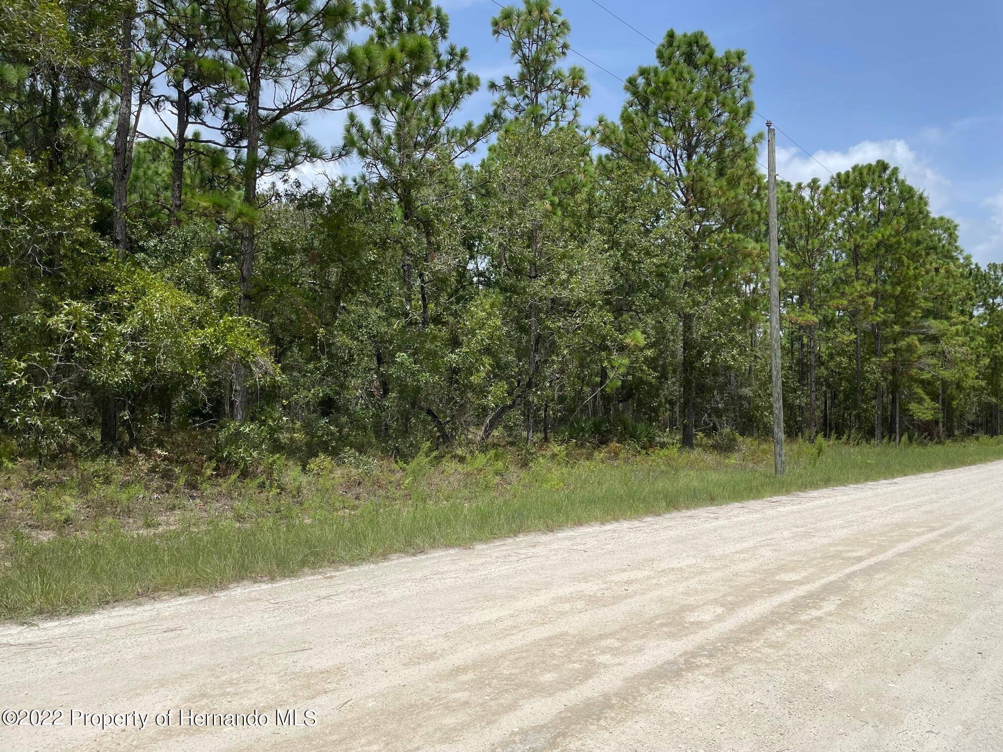 Weeki Wachee, FL 34614,008 Dusky Sparrow Road