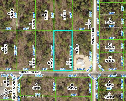 Weeki Wachee, FL 34614,LOT 10 THRASHER Avenue